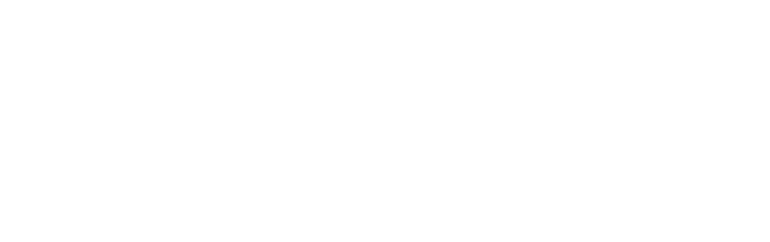 EX Program Logo